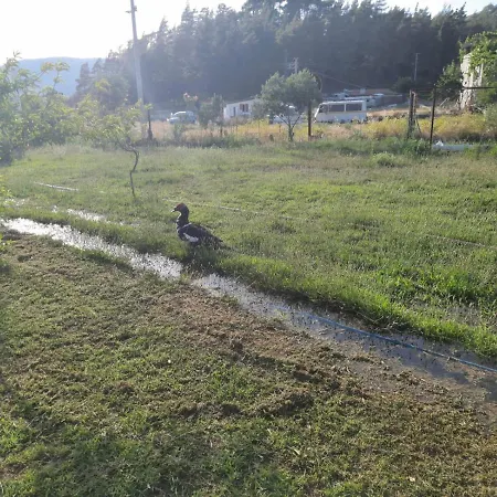 Atar Ciftligi Marmaris